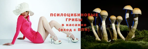 бутират Алзамай