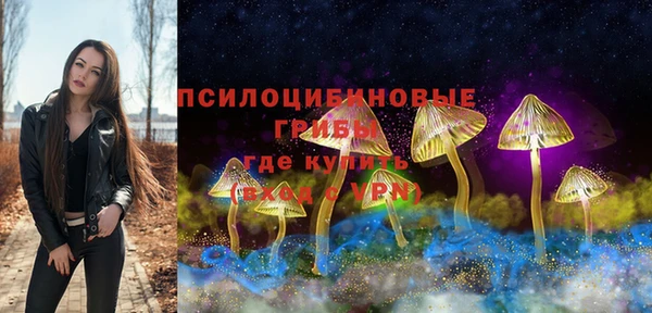 тгк Алексин